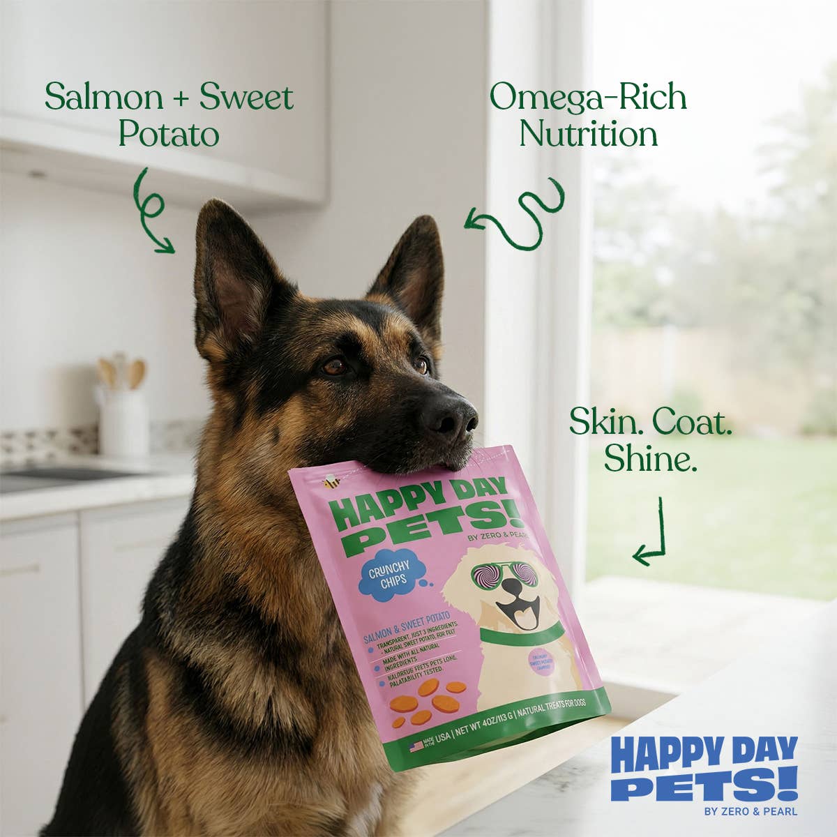 Happy Day Pets Salmon & Sweet Potato Chips Dog Treats