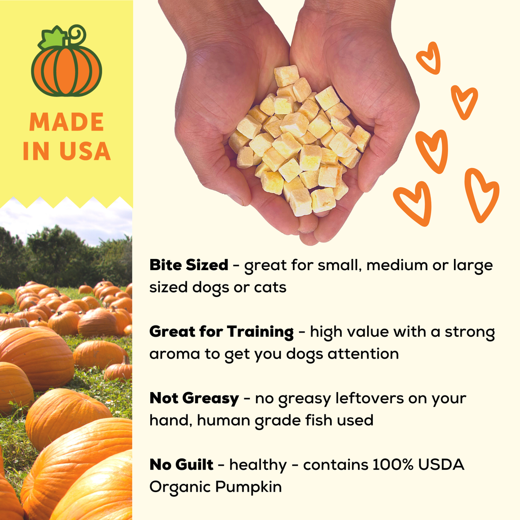 Organic Freeze Dried Pumpkin Dog and Cat Treats: Standard 1 Pack