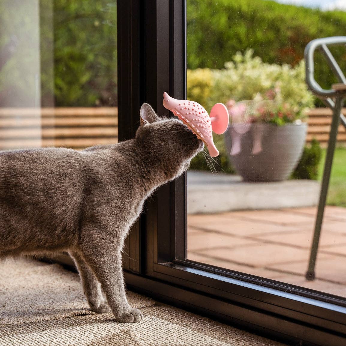 The Perch & Treat Puzzle Toy