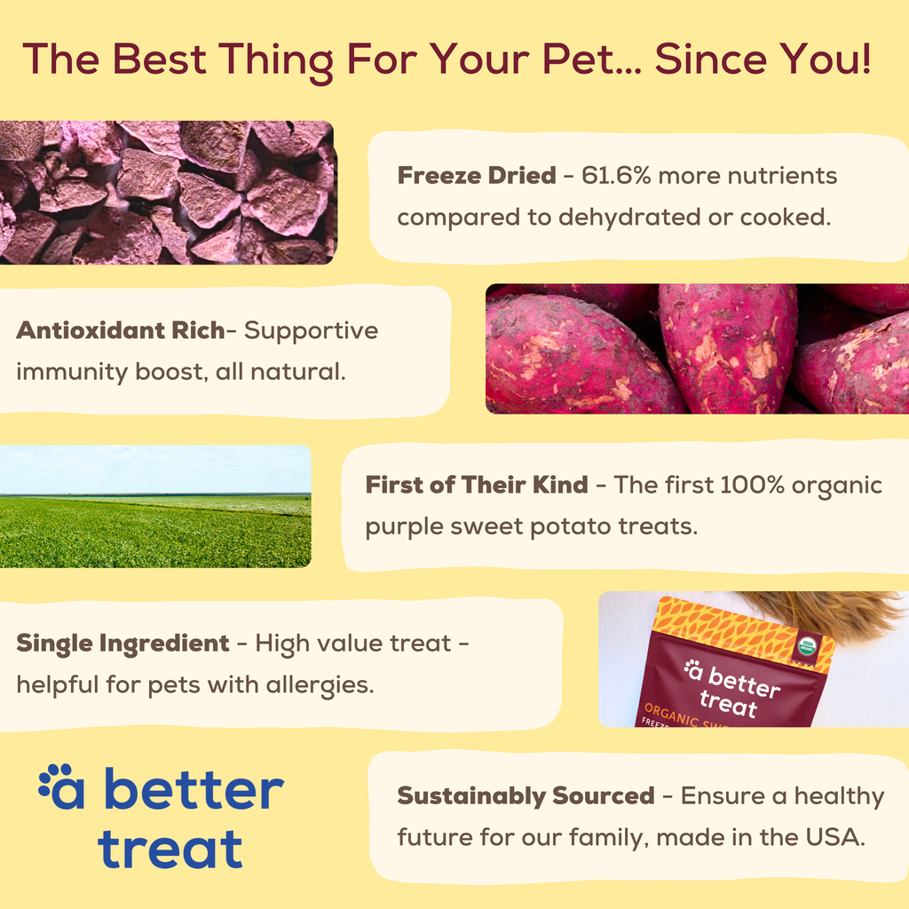 Organic Freeze Dried Purple Sweet Potato Dog and Cat Treats: Standard 1 Pack