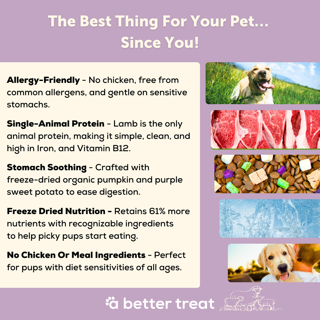 A Better Dog Food - Allergy Friendly Lamb | No Chicken, Only Lamb Animal Protein, No Meal Ingredients, Grain Free | Raw You Can See: 3 lbs