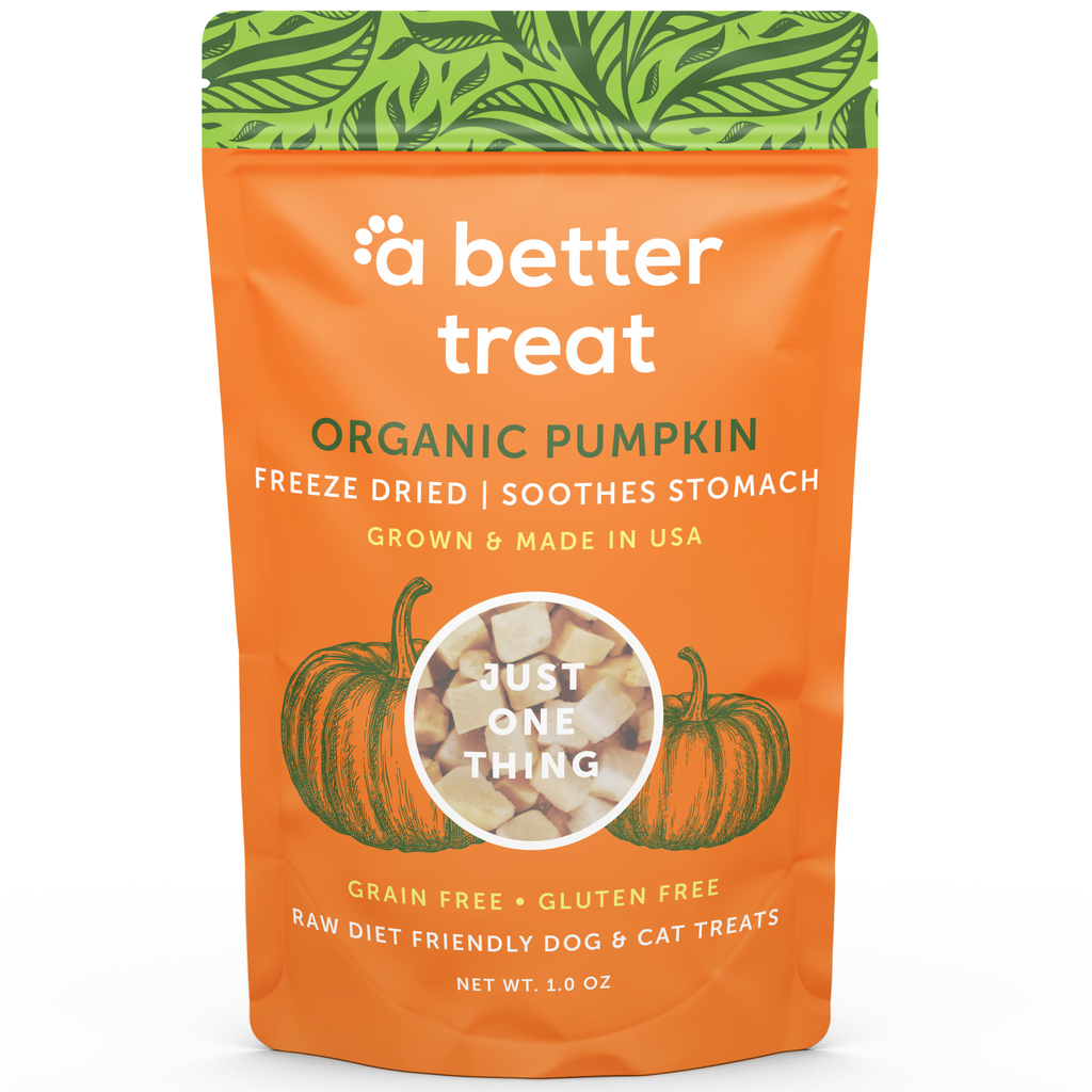 Organic Freeze Dried Pumpkin Dog and Cat Treats: Standard 1 Pack