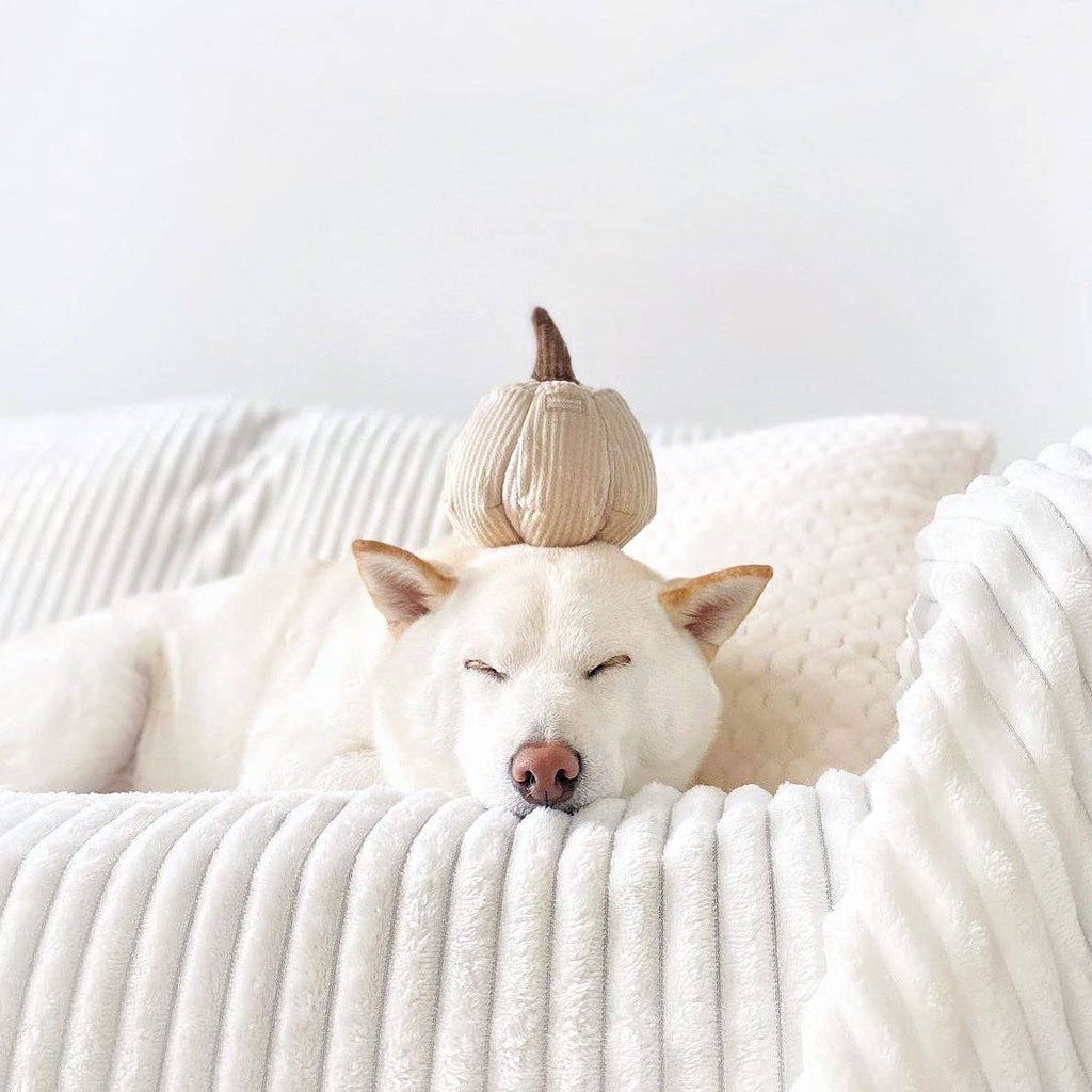 BOO // ENRICHMENT DOG TOY // SNUFFLE : Squeakers