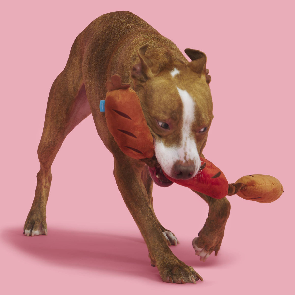 BARK Lickin' Links Plush Dog Toy