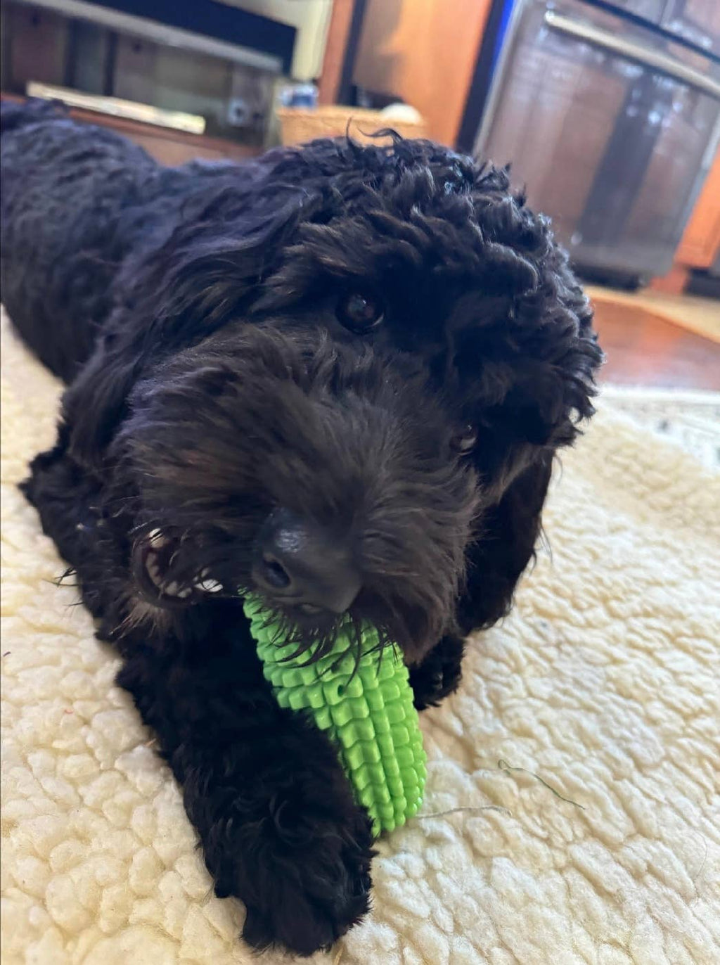 Corn-Shaped Dental Chew Toy