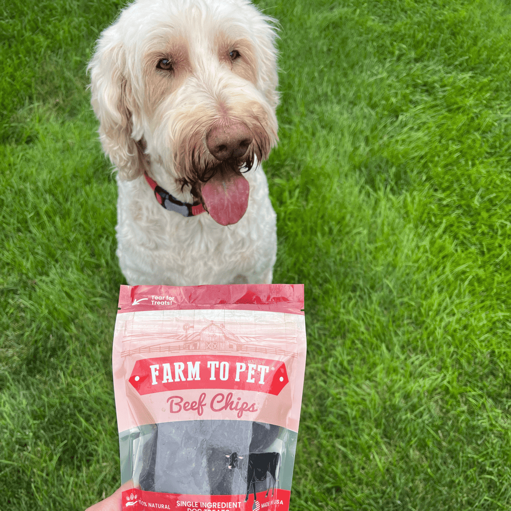 Beef Chips Dog Treats: 12oz