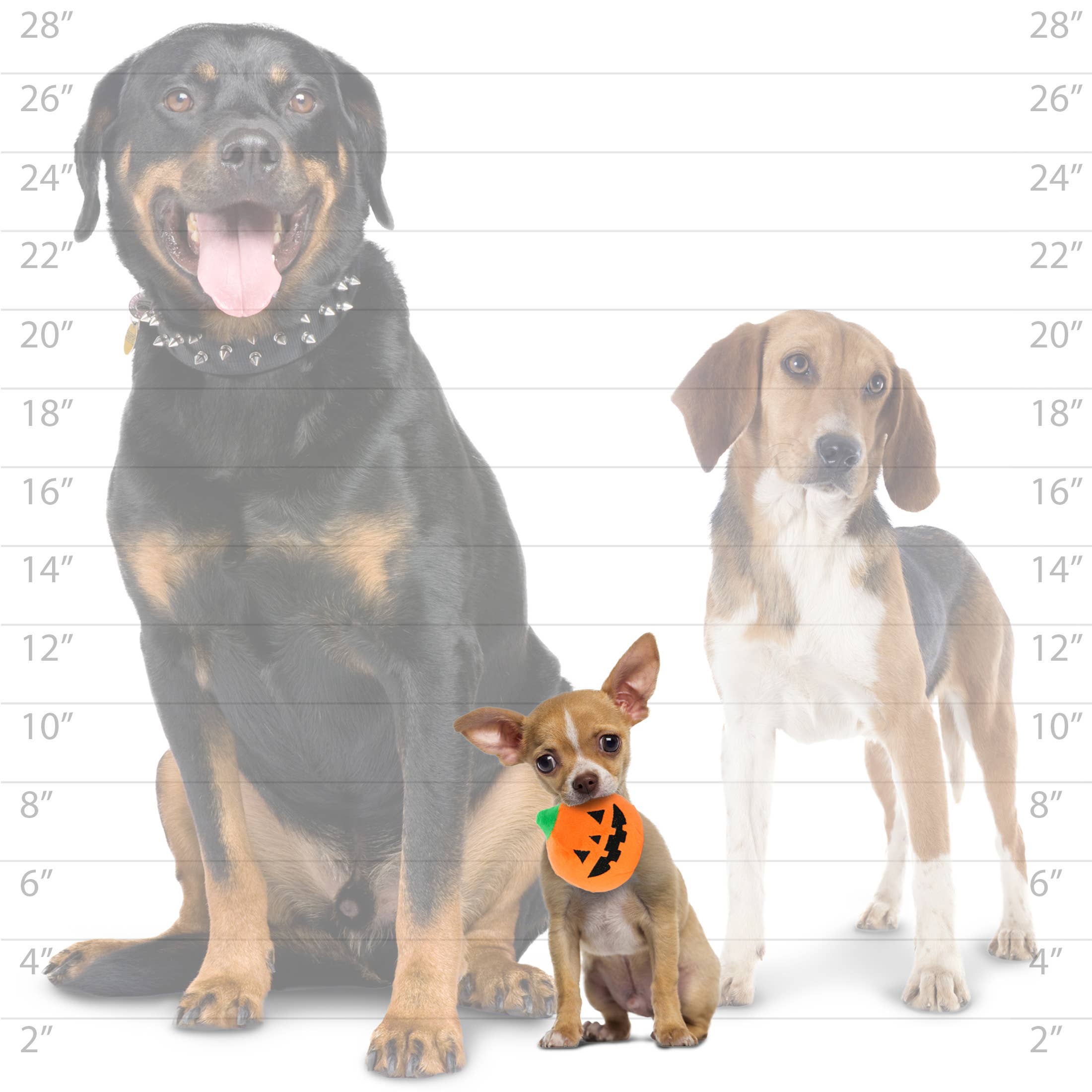 Mighty Ball-Small Pumpkin Squeaky Dog Toy, No Stuffing