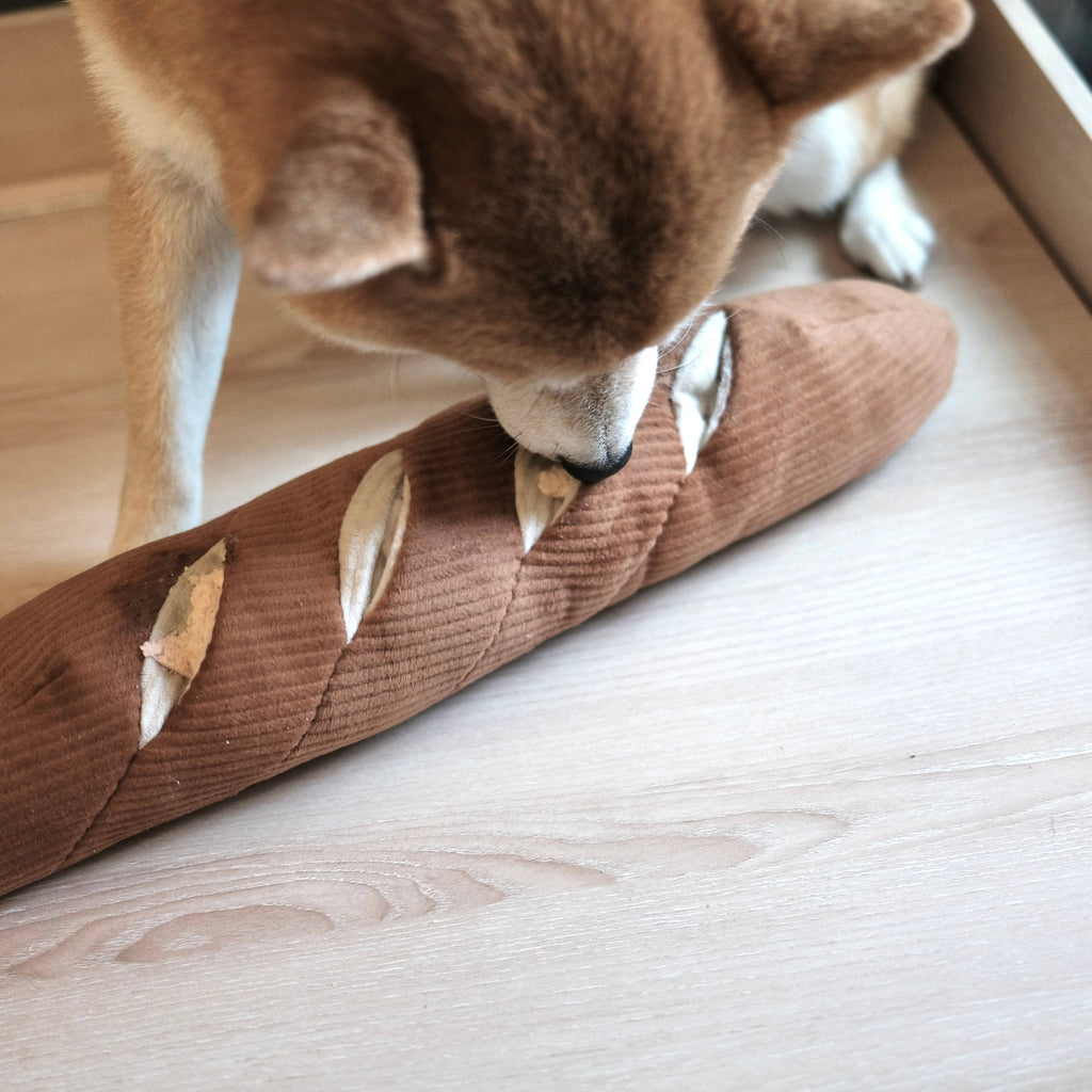 Baguette in a Bag