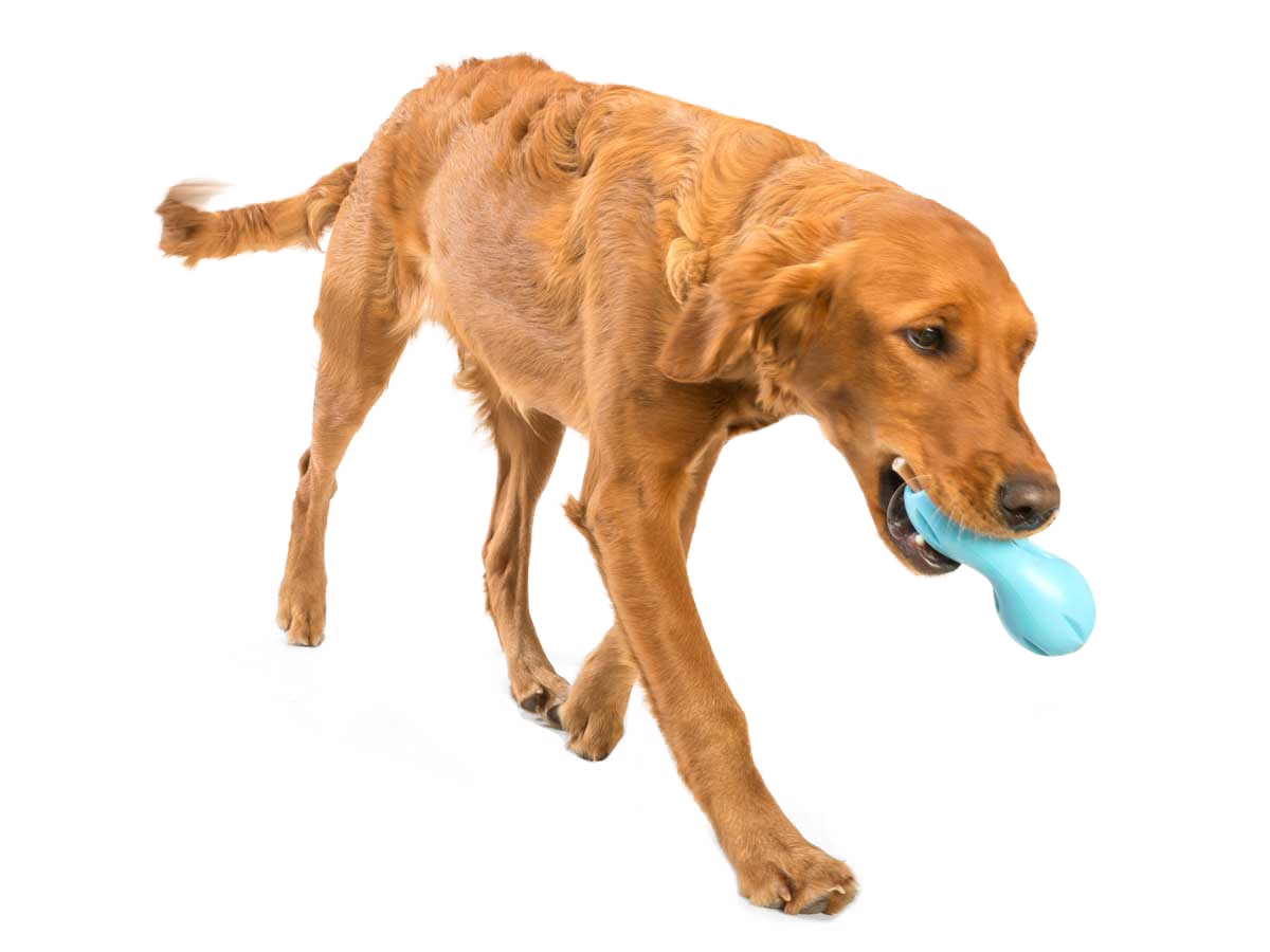 Qwizl® Dog Puzzle Treat-Dispensing Enrichment Toy: Granny Smith / S