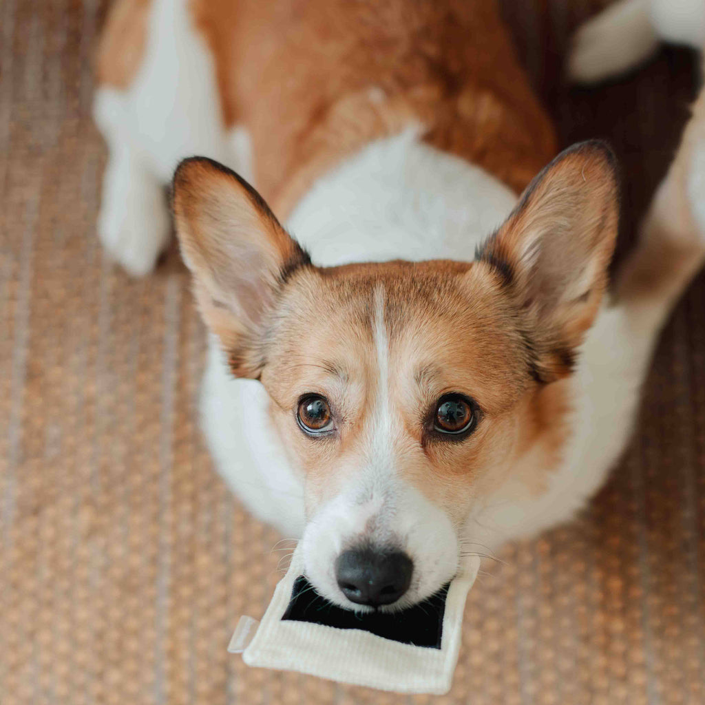 Instant Camera