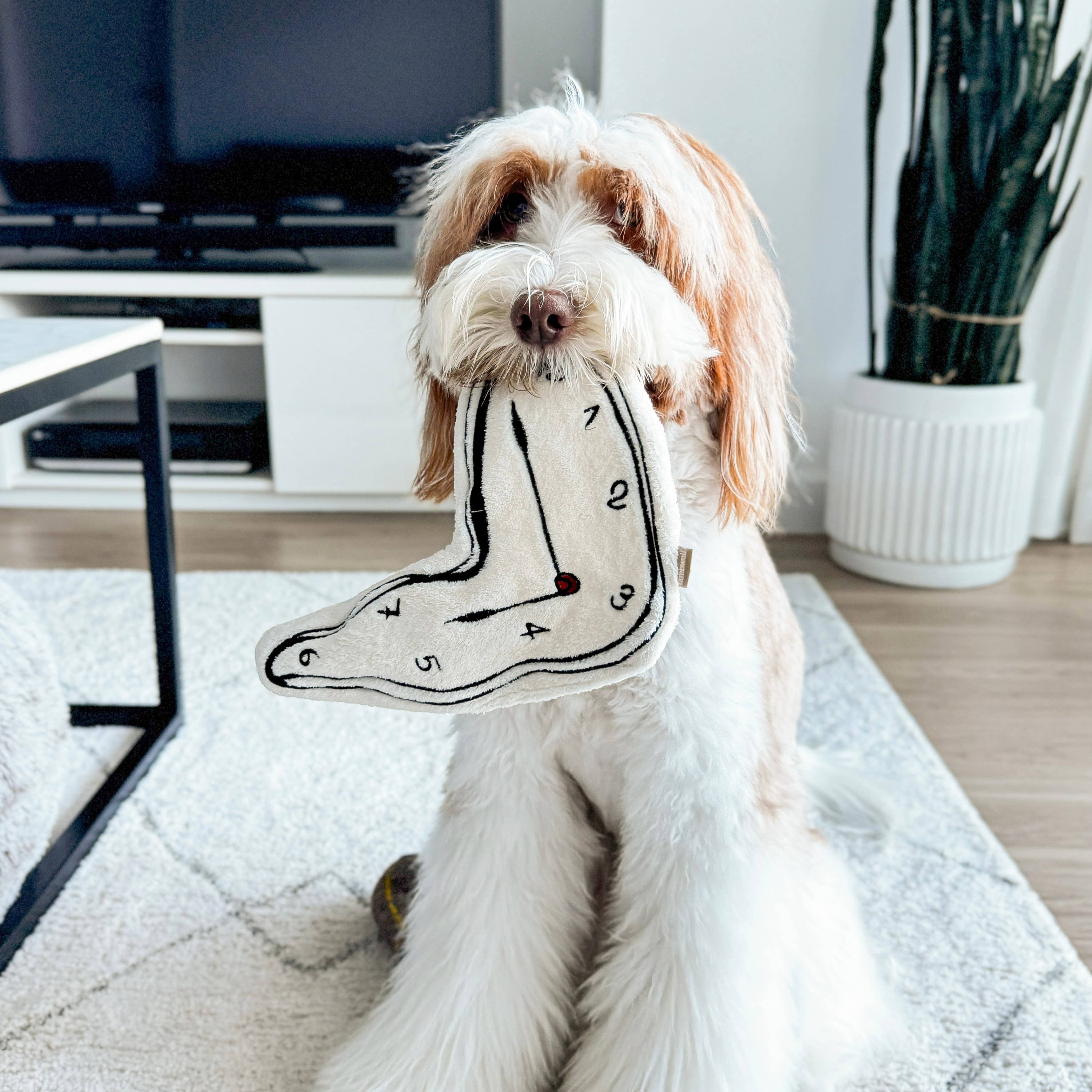 DALI//Surrealist Snuffles/ENRICHMENT DOG TOY