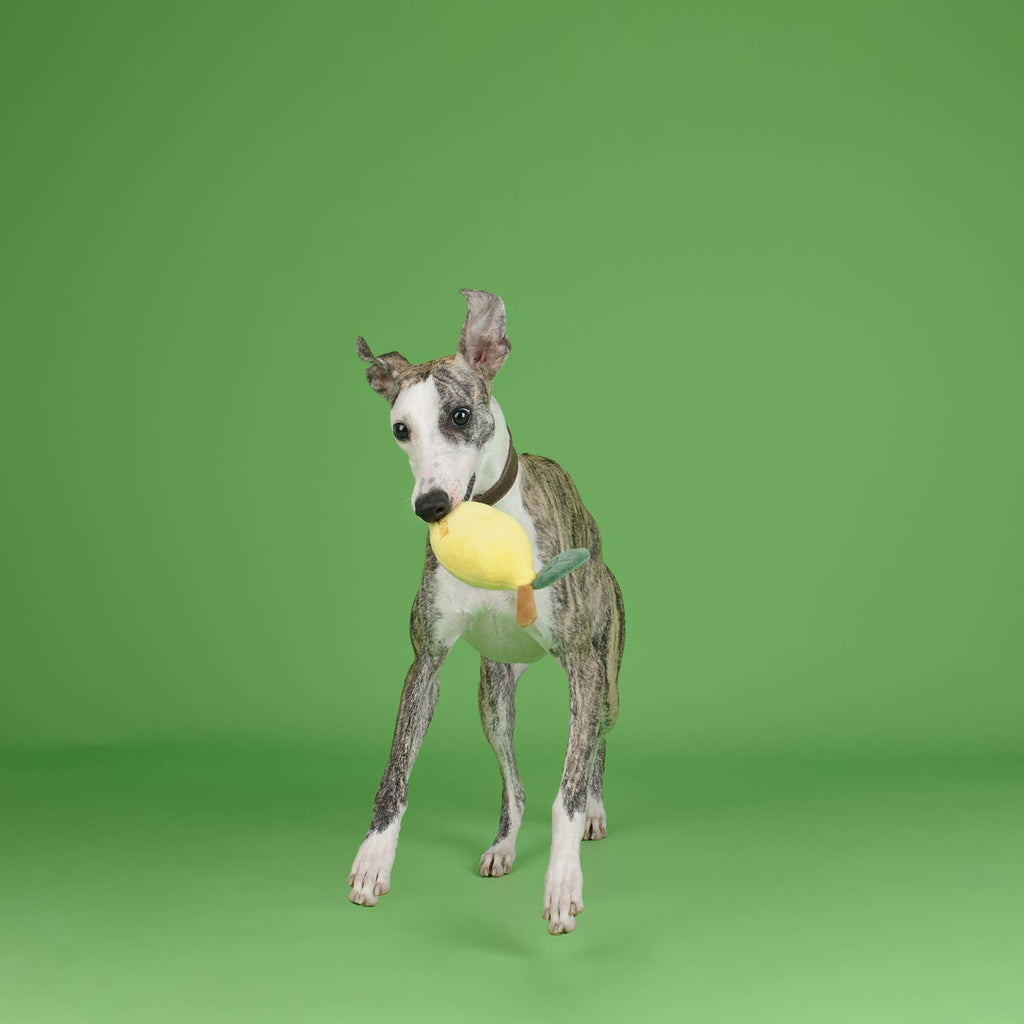 CHEWFFON Fruit Plush Squeaky Dog Toy – Strawberry, Lemon or Pear