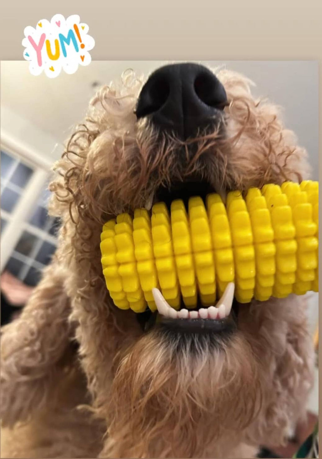 Corn-Shaped Dental Chew Toy