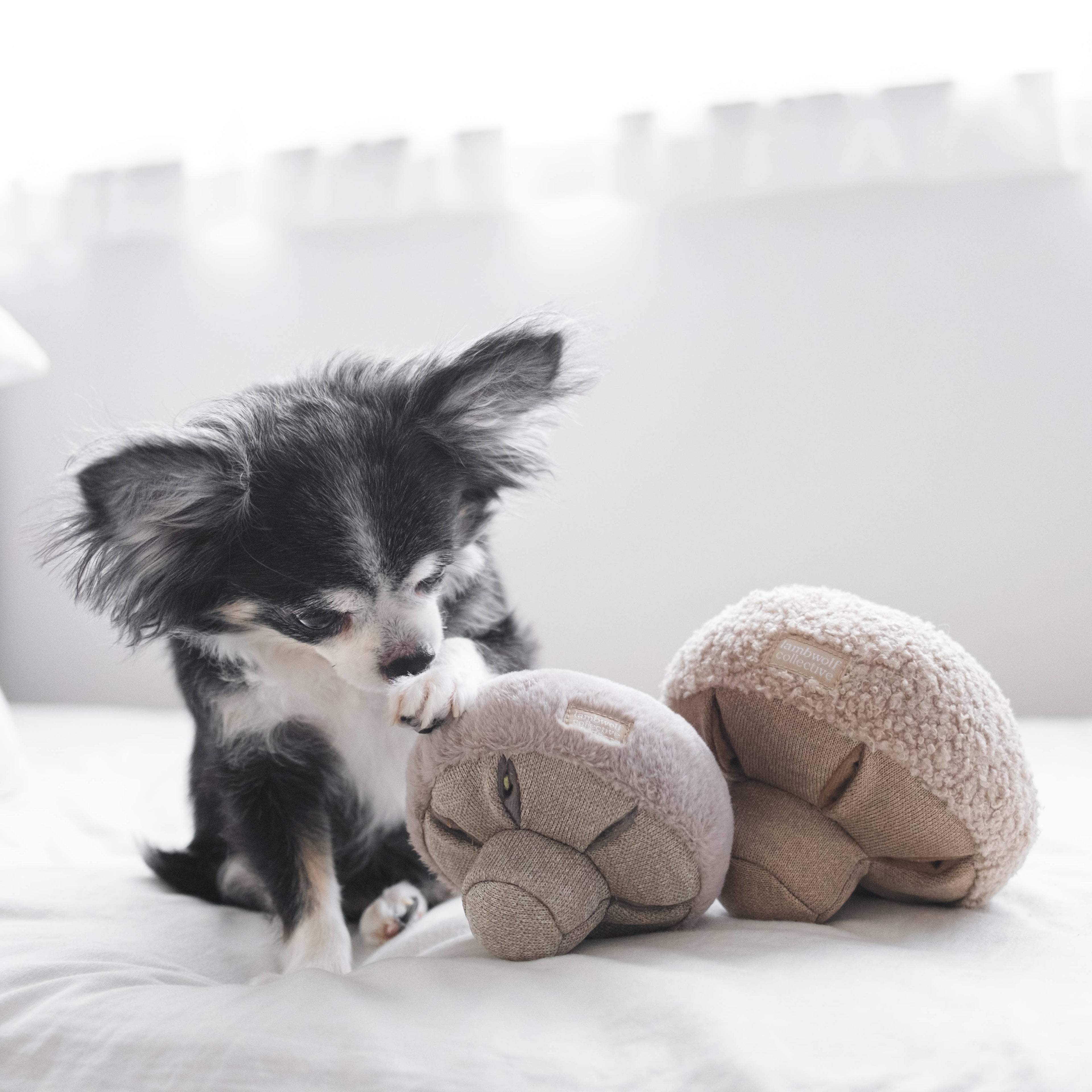 GUU // OAT // ENRICHMENT DOG TOY // SNUFFLE TOY: Small