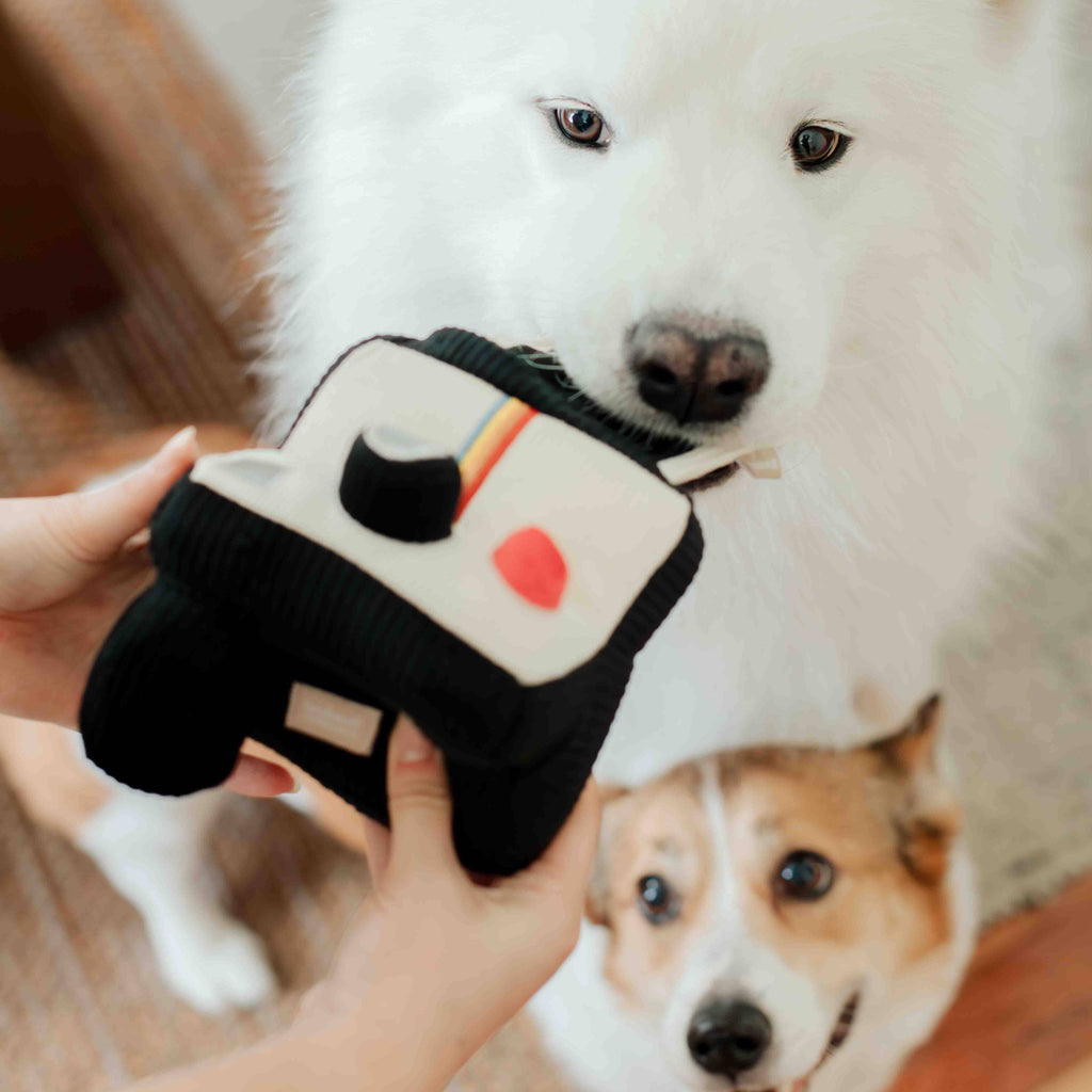Instant Camera