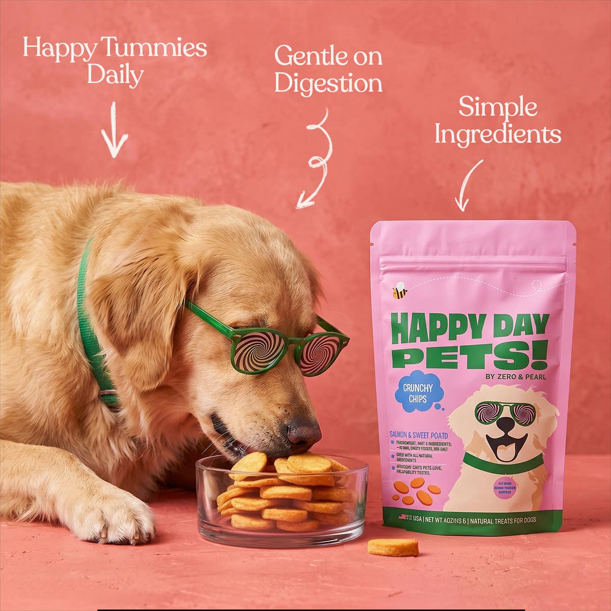 Happy Day Pets Salmon & Sweet Potato Chips Dog Treats