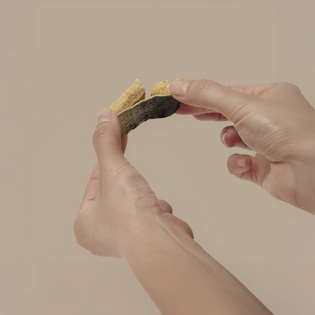 Freeze-Dried Salmon
