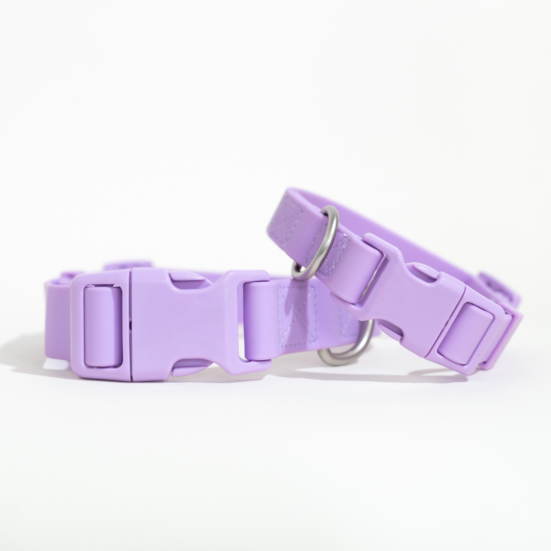 Dog Collar - All-Weather, Adjustable (Large)