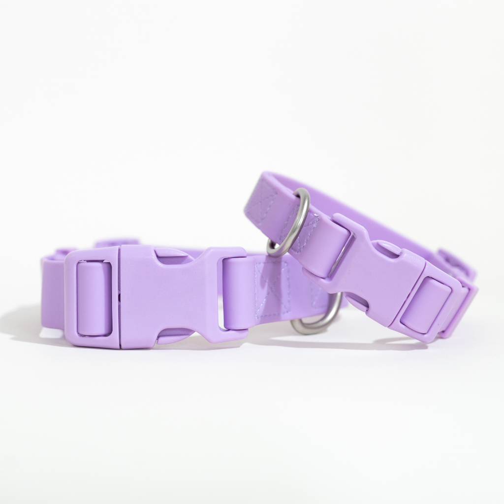 Dog Collar - All-Weather, Adjustable (Small)