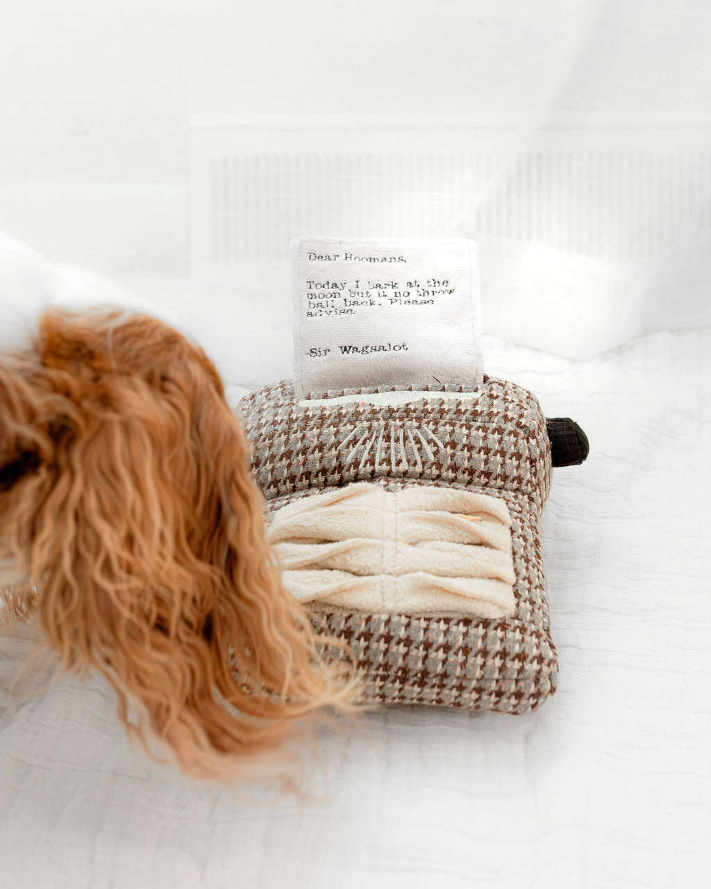 TYPEWRITER//ENRICHMENT DOG TOY