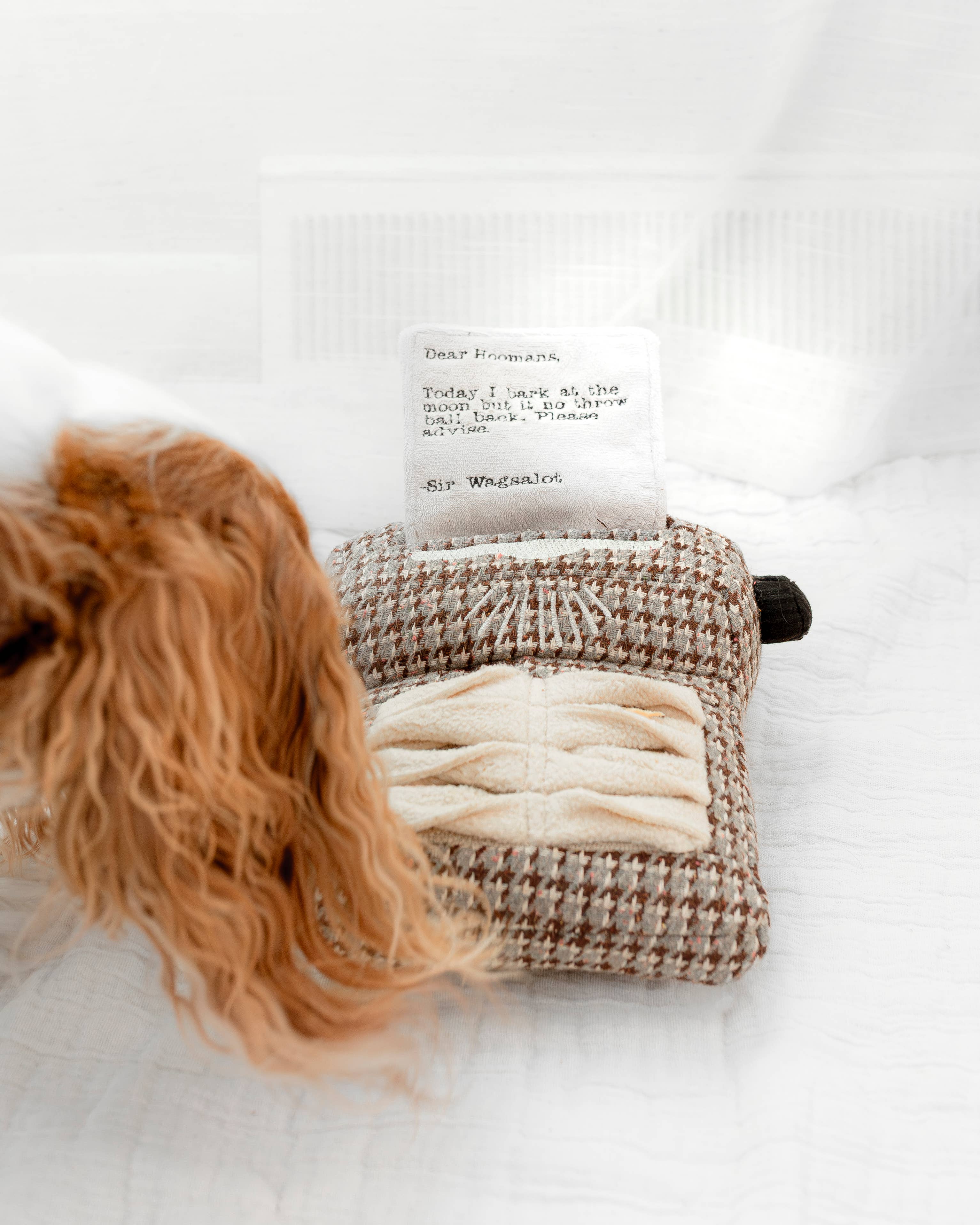 TYPEWRITER//ENRICHMENT DOG TOY