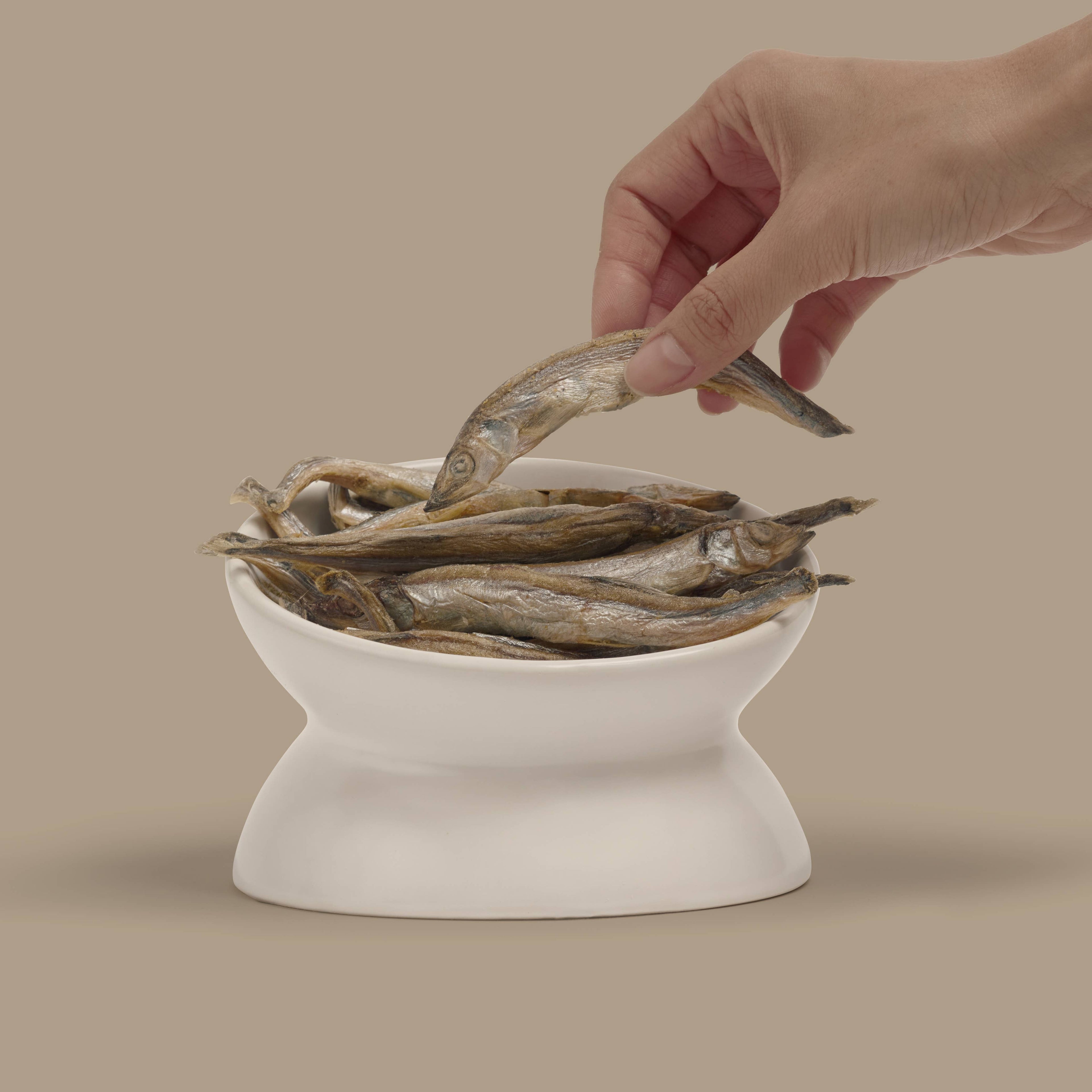 Freeze-Dried Capelin