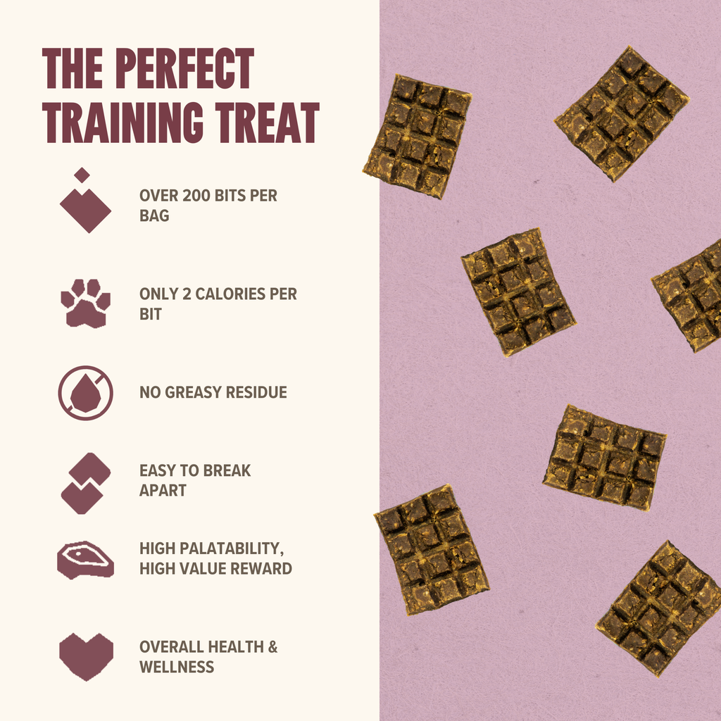 Lamb Mini Training Treats