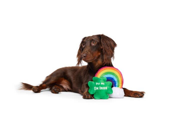 Puppy Charms St. Patrick's Day Plush Dog Toy