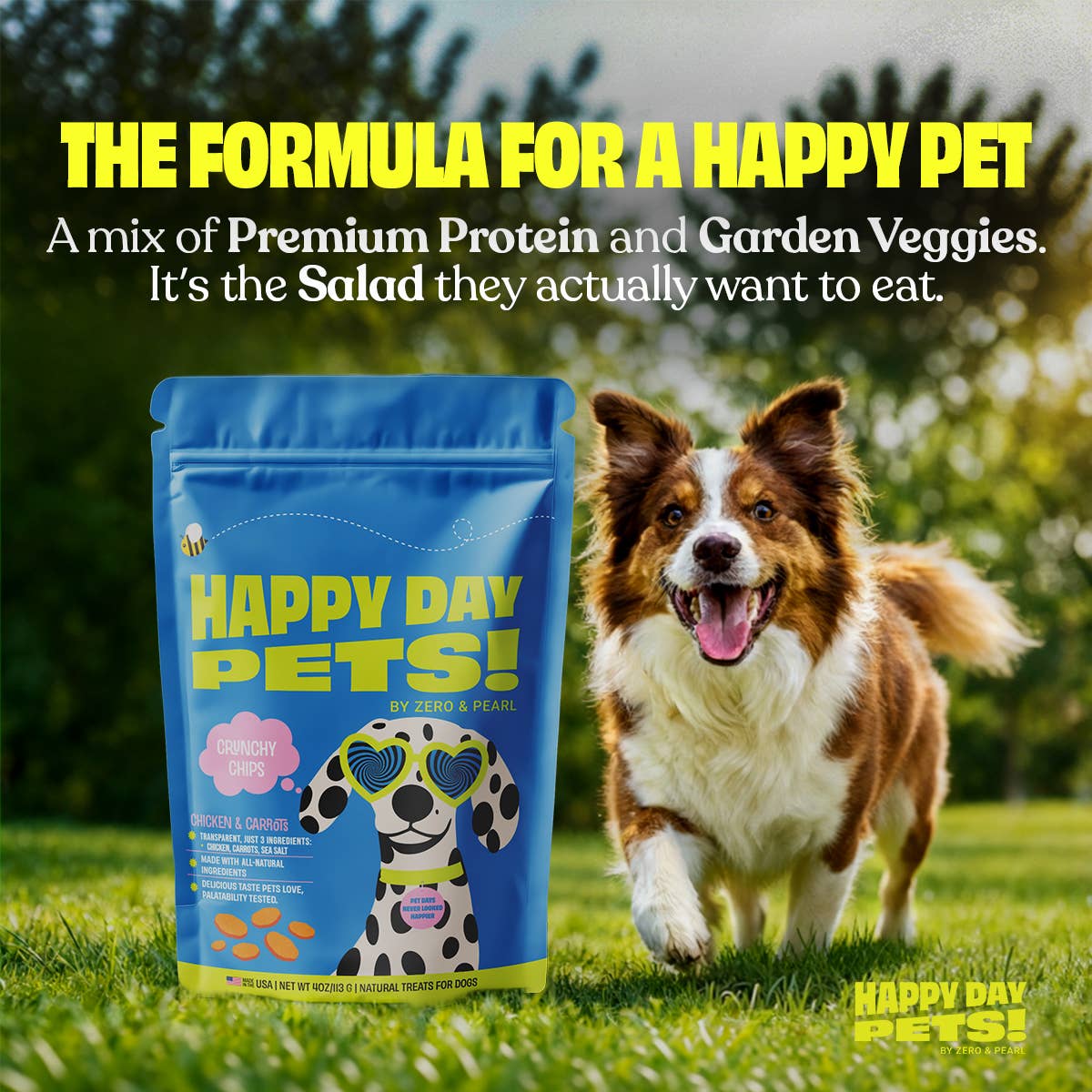 Happy Day Pets Chicken & Carrot Chips Dog Treats