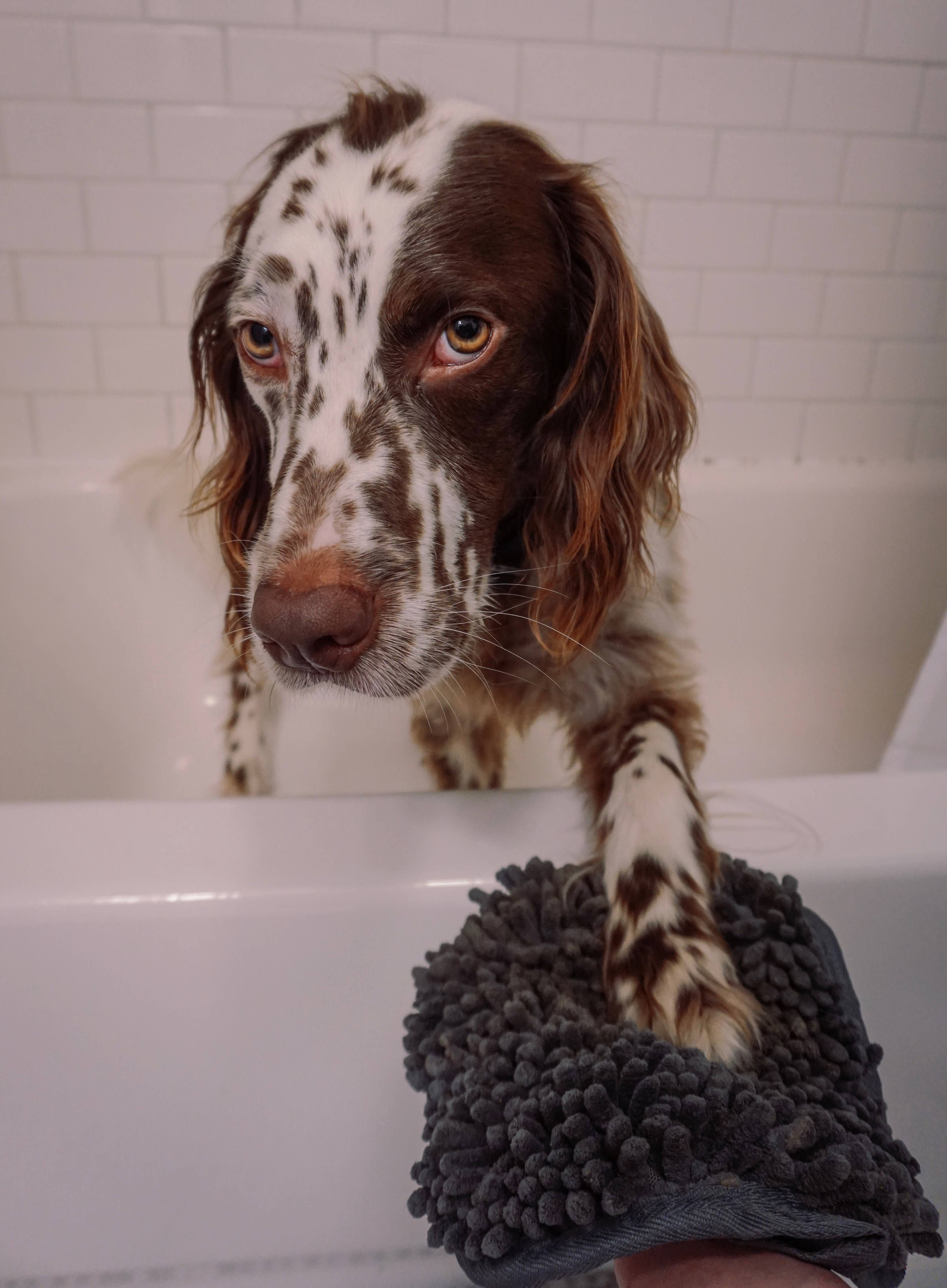Grey Clean Paws Drying Mitt - 10"