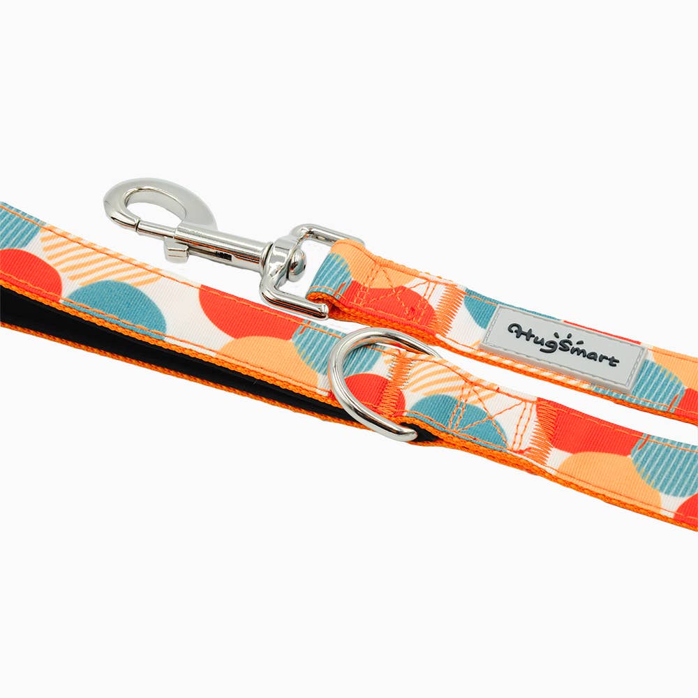 HugSmart Pet - Dog Leash | Dancing Dots