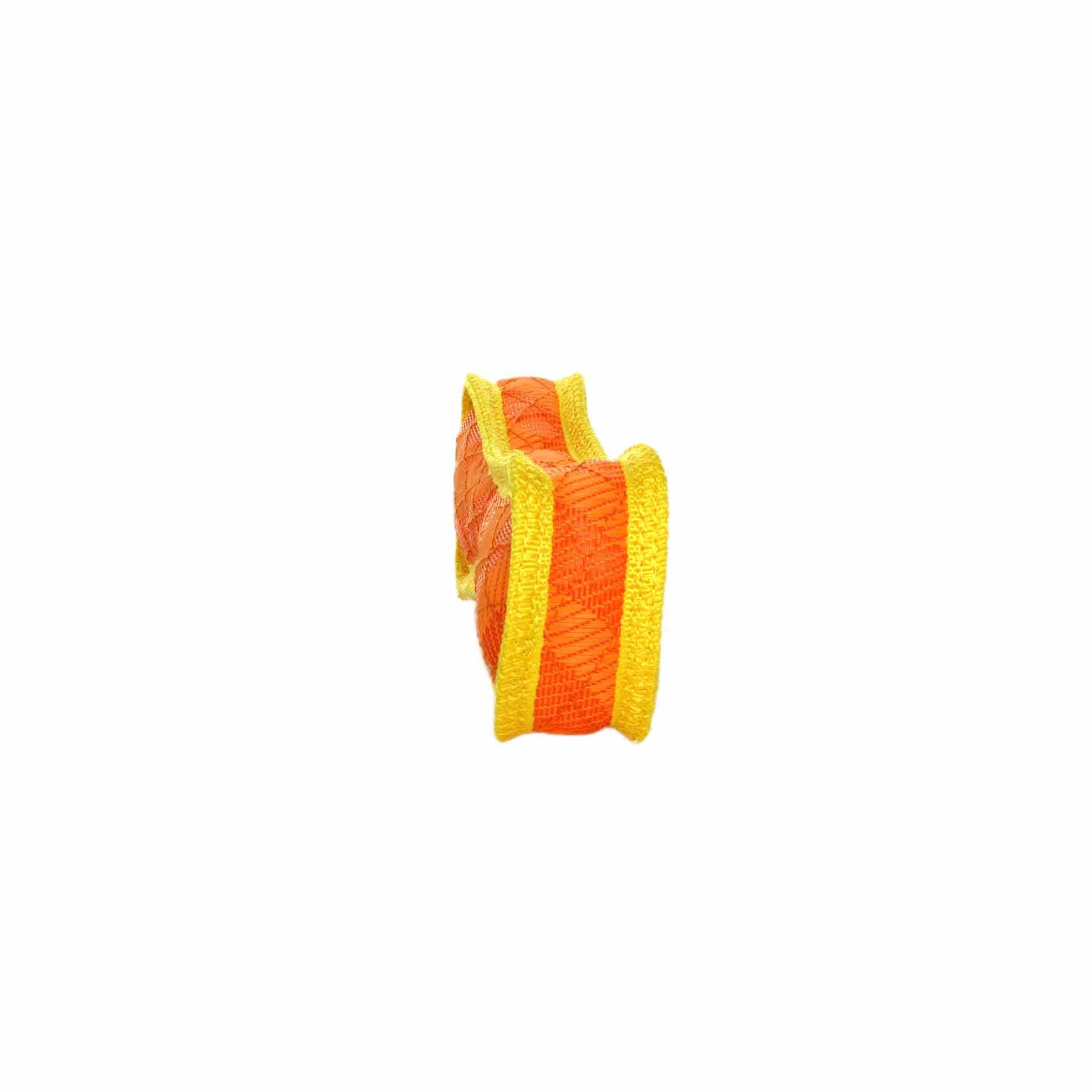 DuraForce Bone Tiger - Orange, Durable, Squeaky Dog Toy