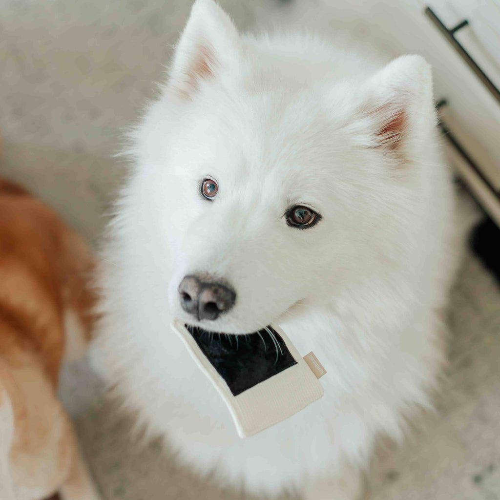 Instant Camera
