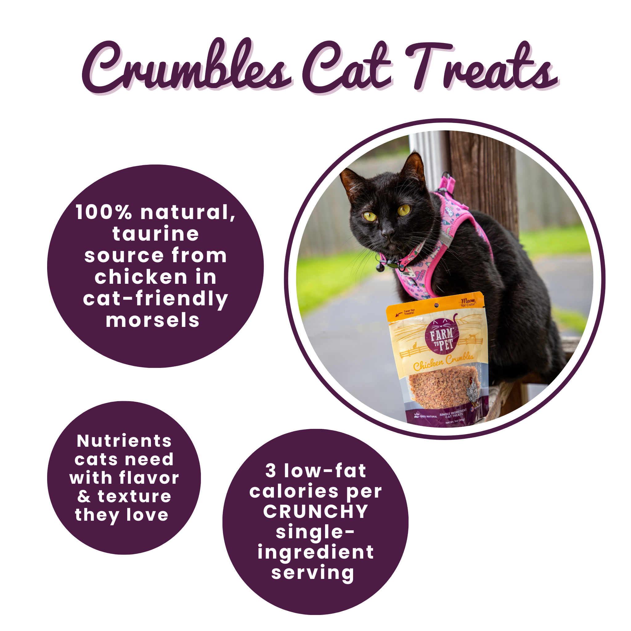 Chicken Crumbles Cat Treats