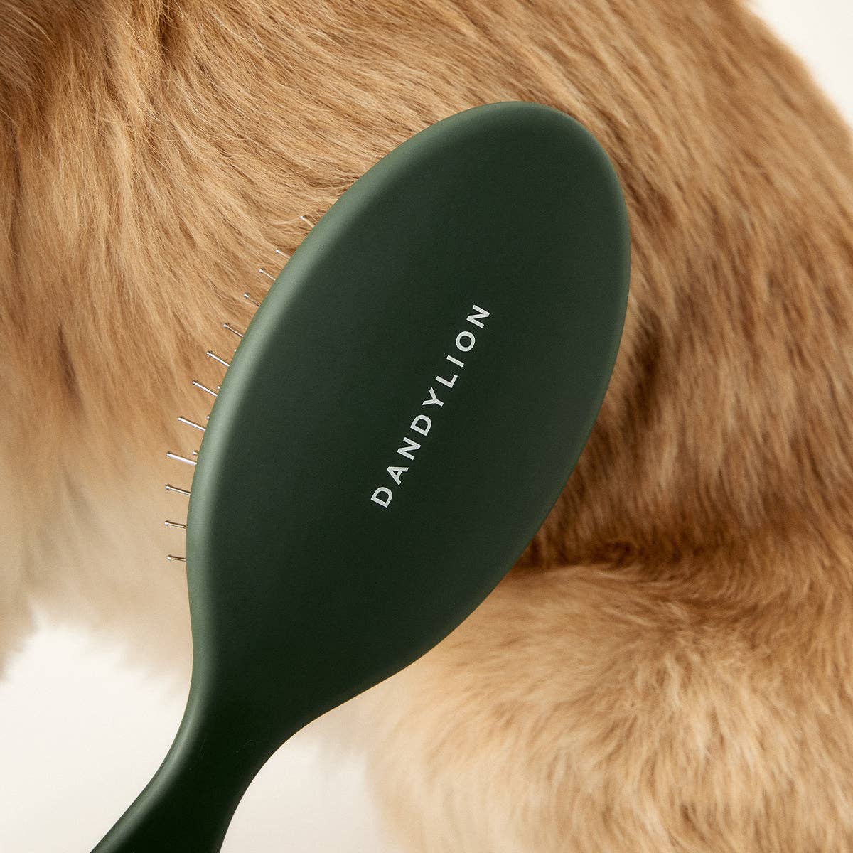 Daily Grooming Brush