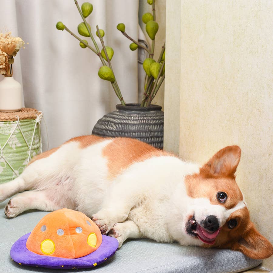 HugSmart Pet - Space Paws | Flip the UFO - Dog Plush Toy
