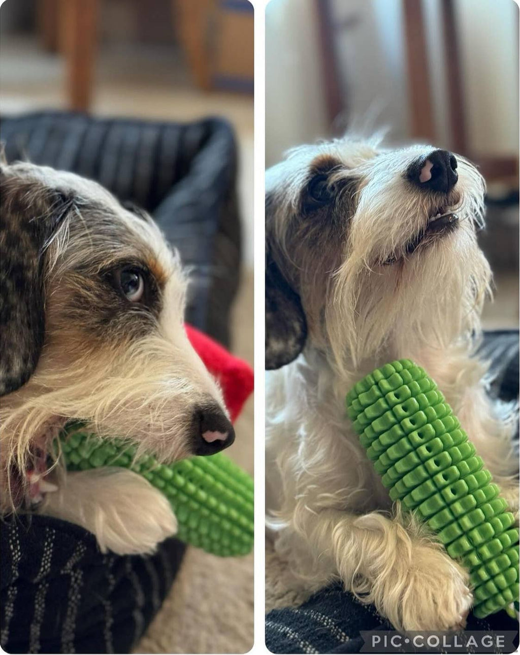 Corn-Shaped Dental Chew Toy