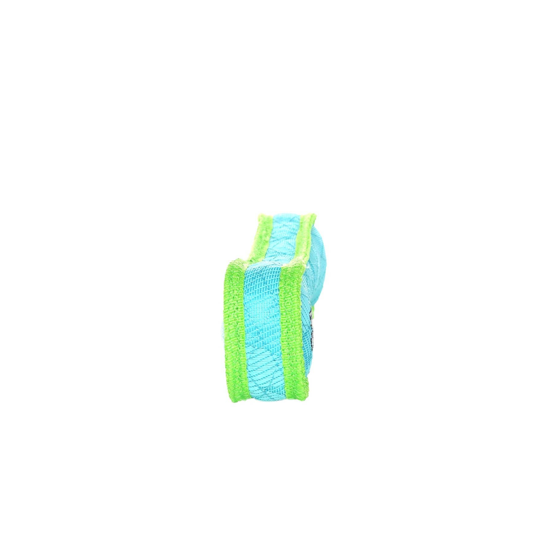 DuraForce Bone Tiger - Blue/Green, Durable, Squeaky Dog Toy