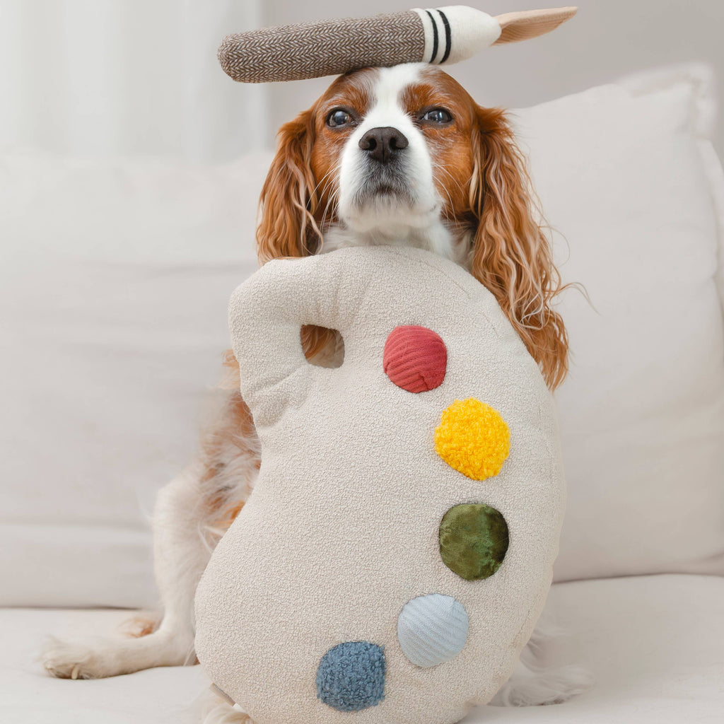 Color Palette Set // ENRICHMENT DOG TOY