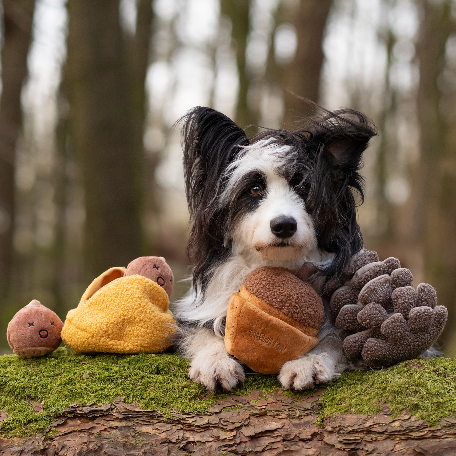 Acorn Snuffle & Squeaky Toy