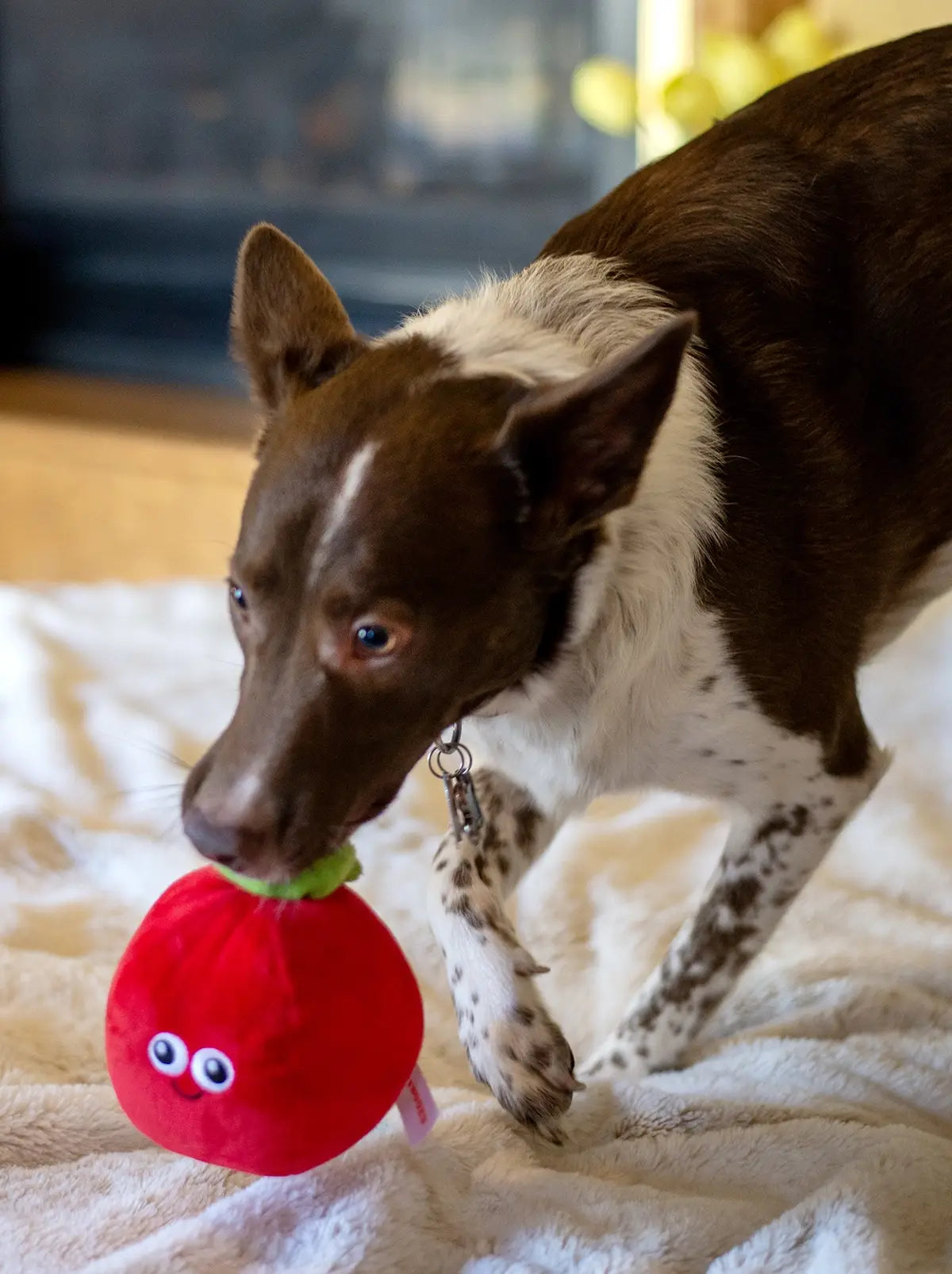 Tomato Plush Dog Toy 5.5"