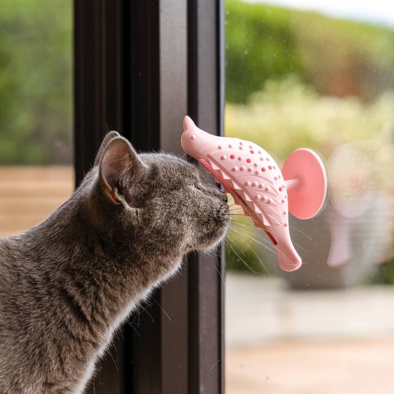 The Perch & Treat Puzzle Toy