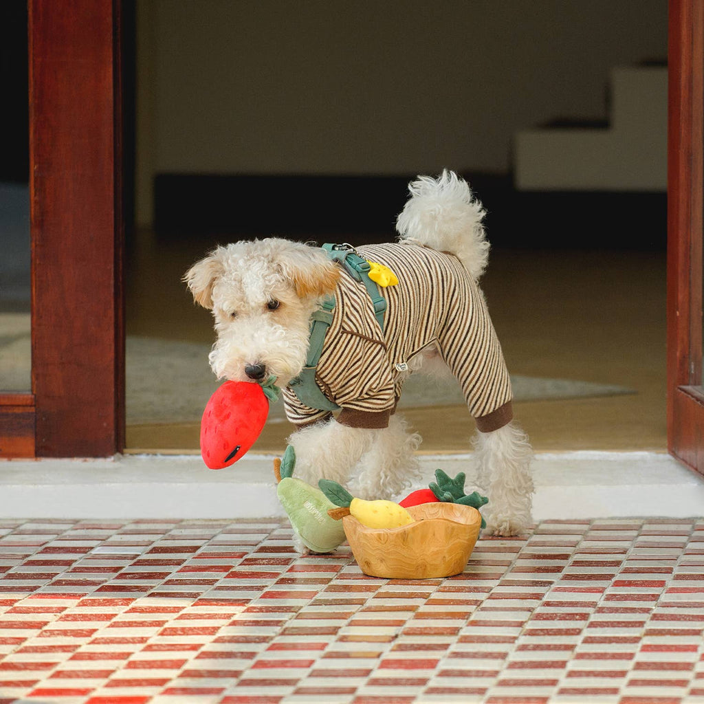 CHEWFFON Fruit Plush Squeaky Dog Toy – Strawberry, Lemon or Pear