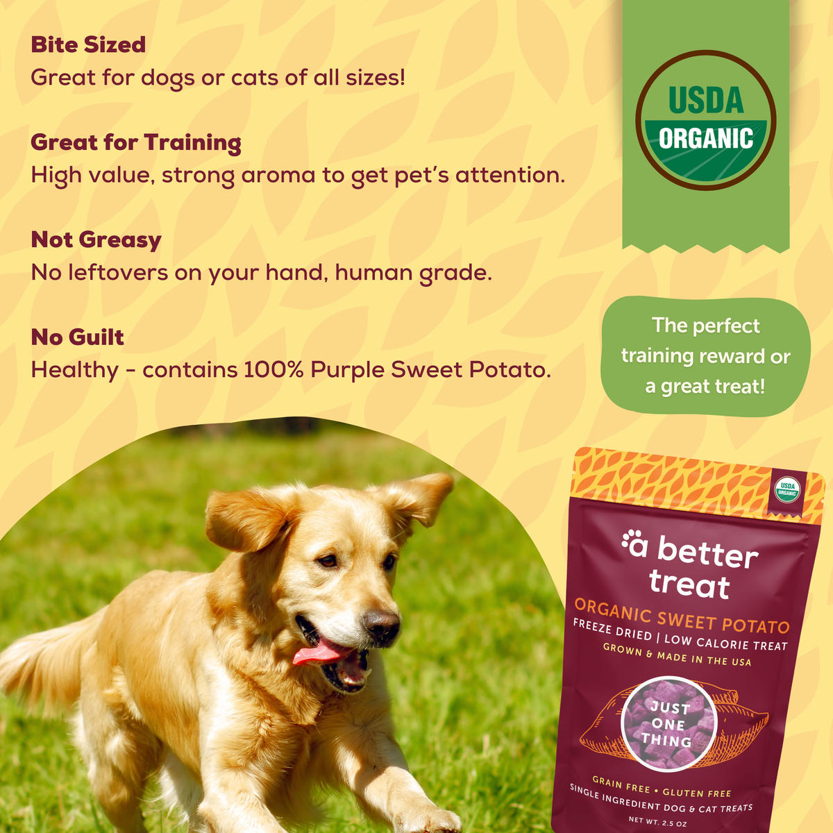 Organic Freeze Dried Purple Sweet Potato Dog and Cat Treats: Standard 1 Pack