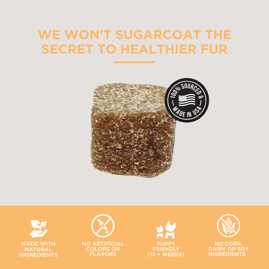 The Only Skin & Coat Soft Chews Dogs Need: 12 count pouch