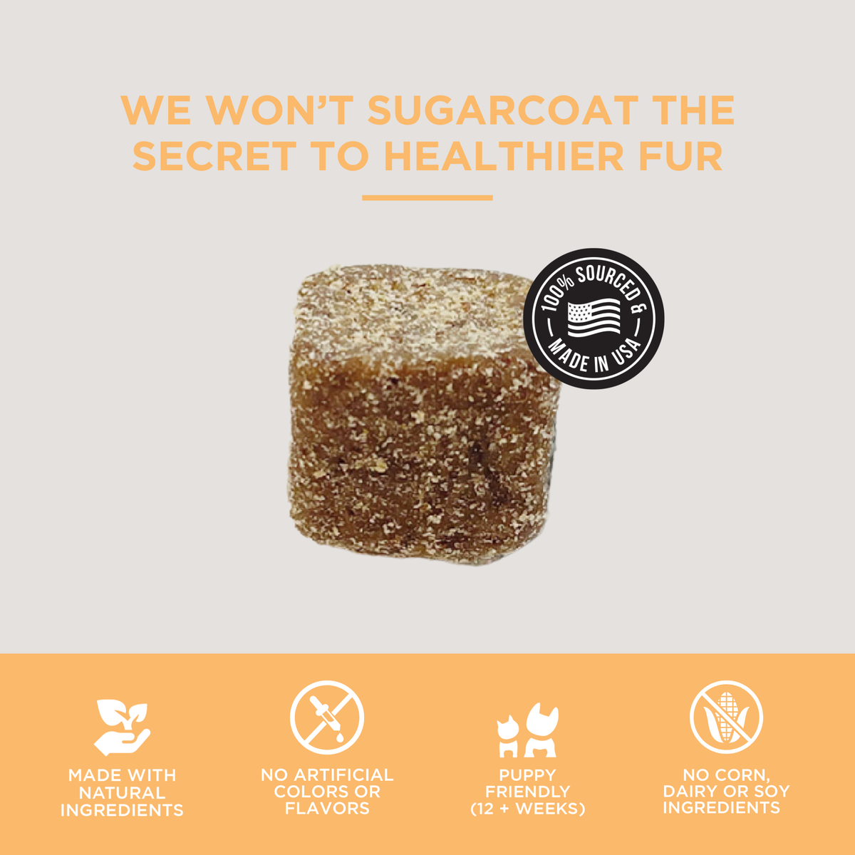 The Only Skin & Coat Soft Chews Dogs Need: 12 count pouch