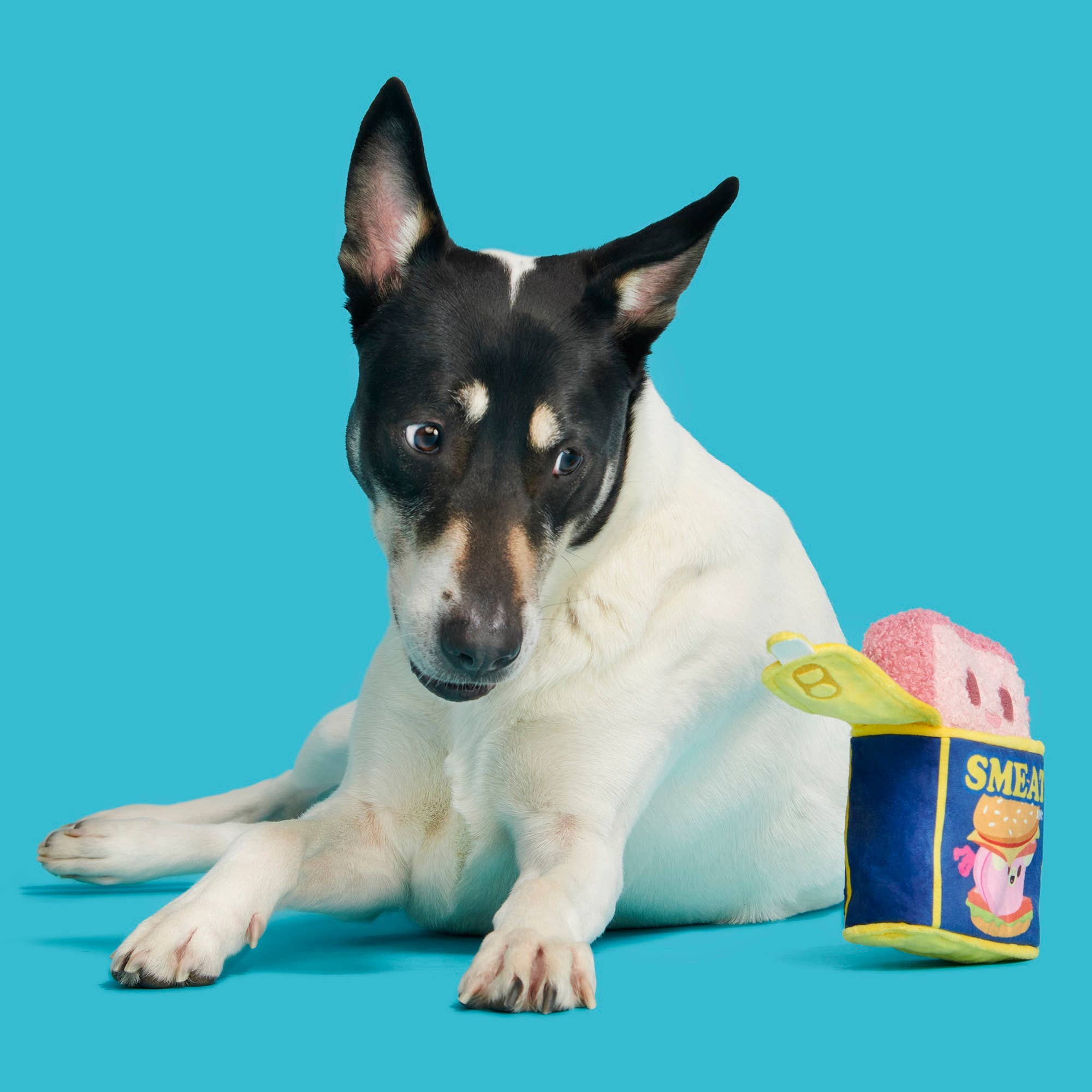 Canned SMEAT Plush Dog Toy XS/S