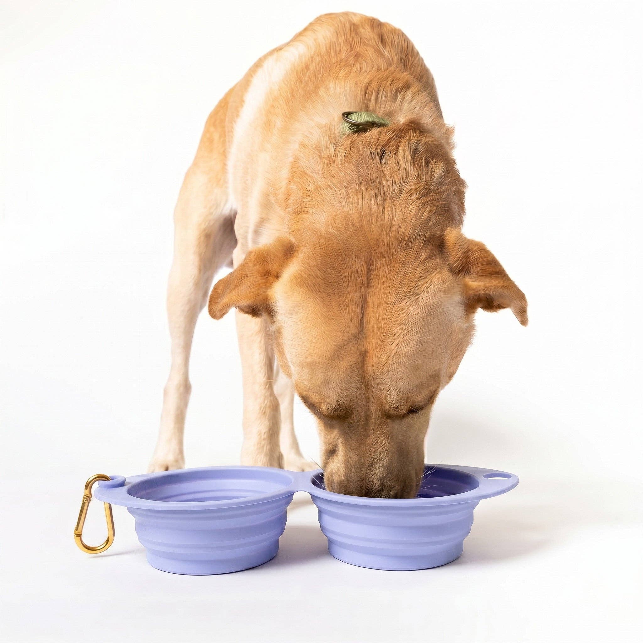 Snack Attack Collapsible Travel Bowl: PERI