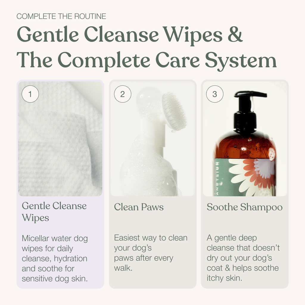 Gentle Cleanse Dog Wipes - 30 Wipes