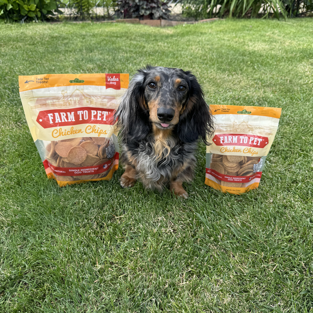Chicken Chips Dog Treats: 12oz